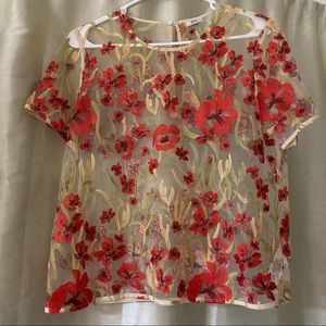 ARITZIA LITTLE MOON SHEER TOP!